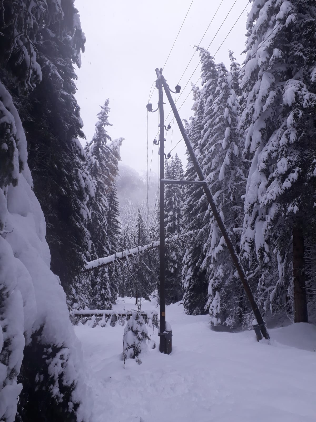 Der frühe Wintereinbruch führt zu Stromunterbrüchen er frühe Wintereinbruch führt zu Stromunterbrüchen