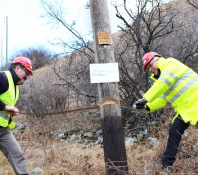 Gemeindepräsidenten von Scuol und Valsot beim Fällen des ersten Holzmasten