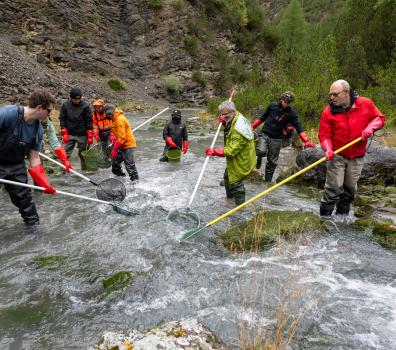 Fischumsiedlung Oberer Spöl