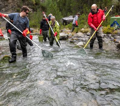 Fischumsiedlung Oberer Spöl